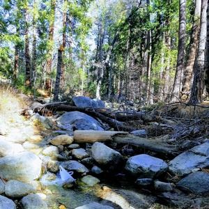 Meet your Posher, Steffanie